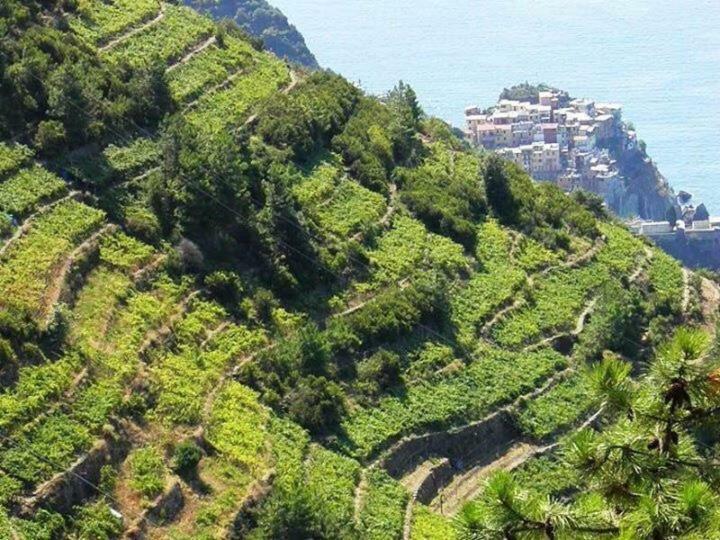 Liguria Home Ameglia Bagian luar foto