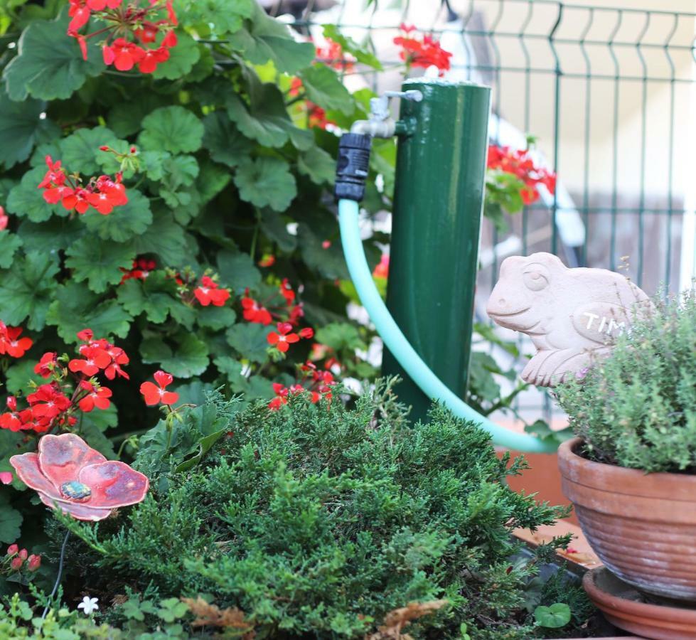 Liguria Home Ameglia Bagian luar foto