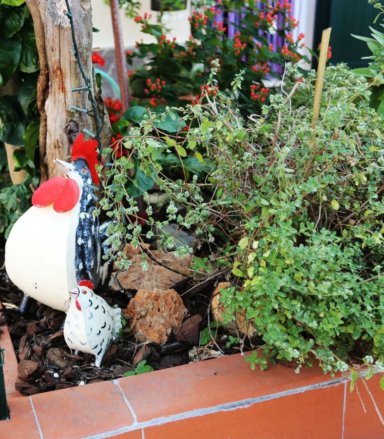 Liguria Home Ameglia Bagian luar foto